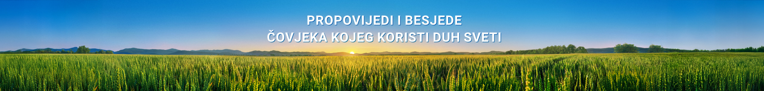 banner图